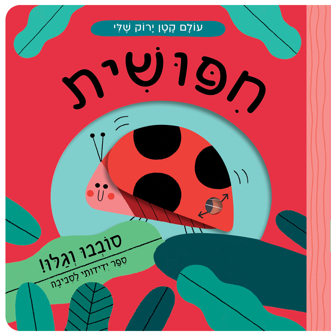 חיפושית