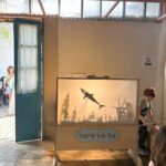 צל של סיפור