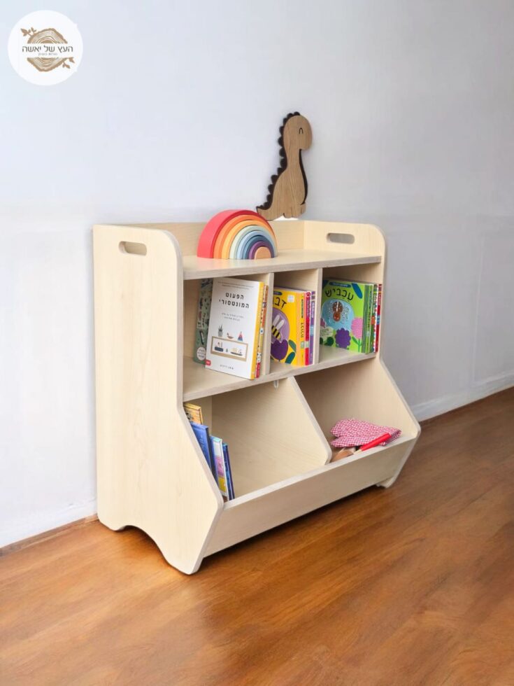 ארגונית צעצועים