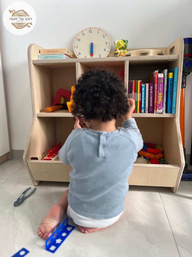 ארגונית1