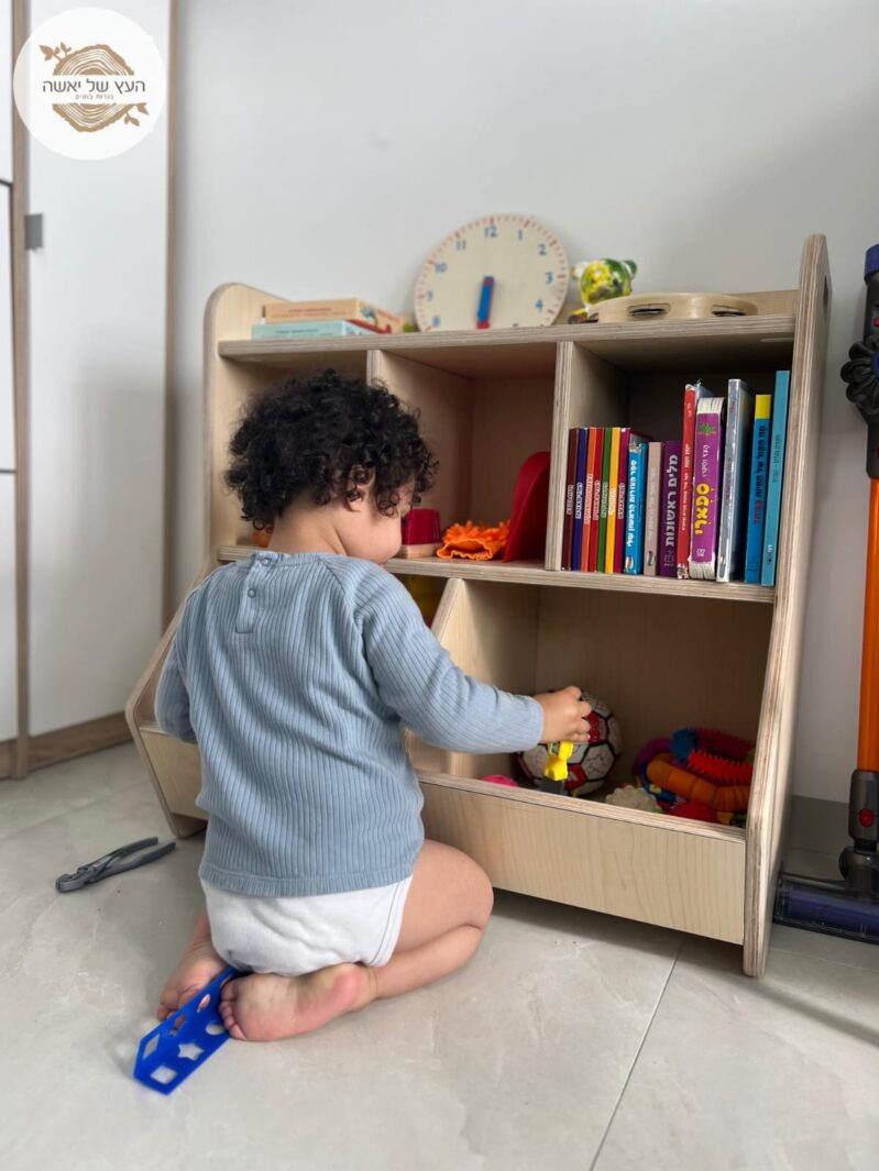 ארגונית2