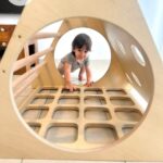 משולשון פיקלר2 משולשון פיקלר2