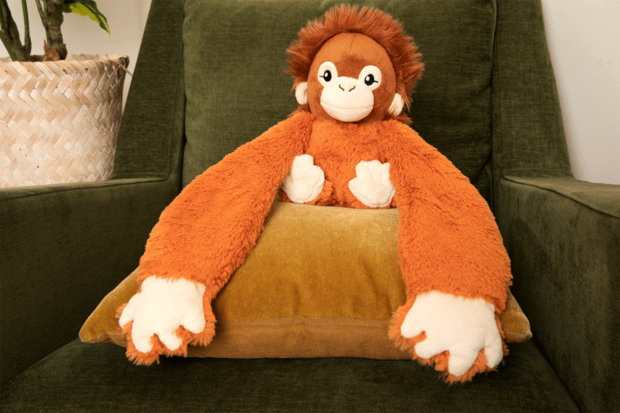 Gif Orangutan Hugging