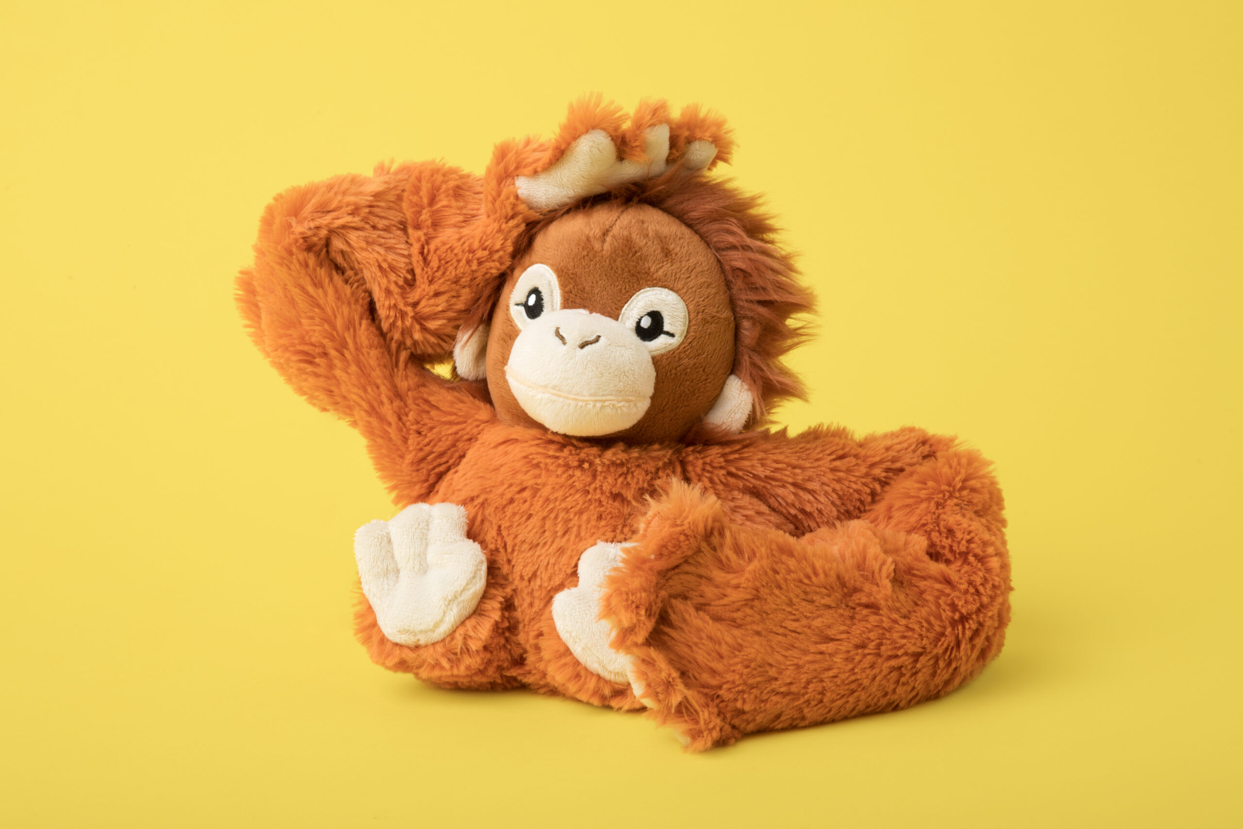 Main Image Ollie The Orangutan Hi Res