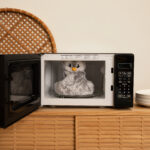 Microwave Penguin