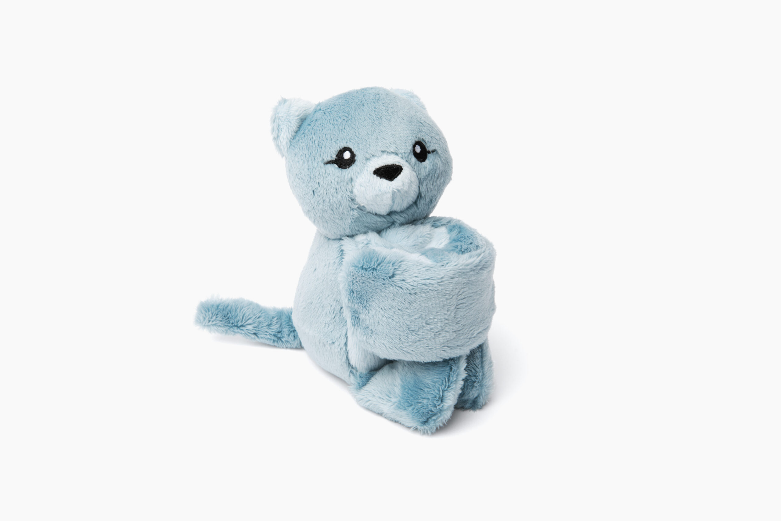 פרנקי החתול