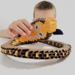 85edb500baecb11604c216bb897db6999b1eadb5.webp 85edb500baecb11604c216bb897db6999b1eadb5.webp