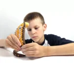 C77d5aed2e4c23d115fb60d5997618789a095119.webp C77d5aed2e4c23d115fb60d5997618789a095119.webp