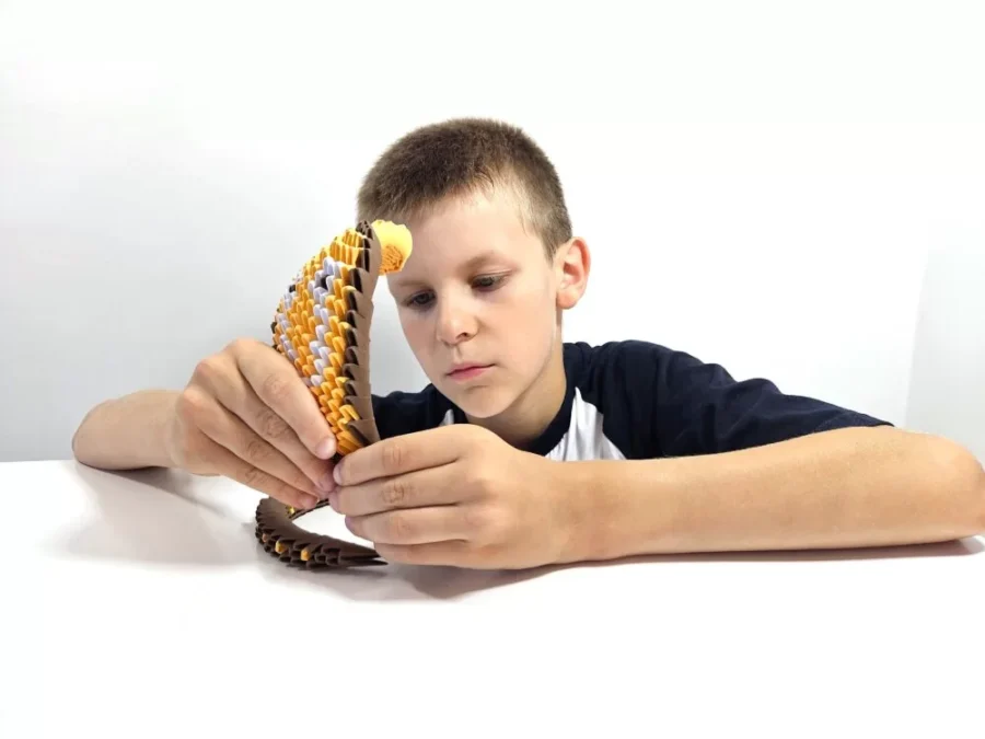 C77d5aed2e4c23d115fb60d5997618789a095119.webp C77d5aed2e4c23d115fb60d5997618789a095119.webp