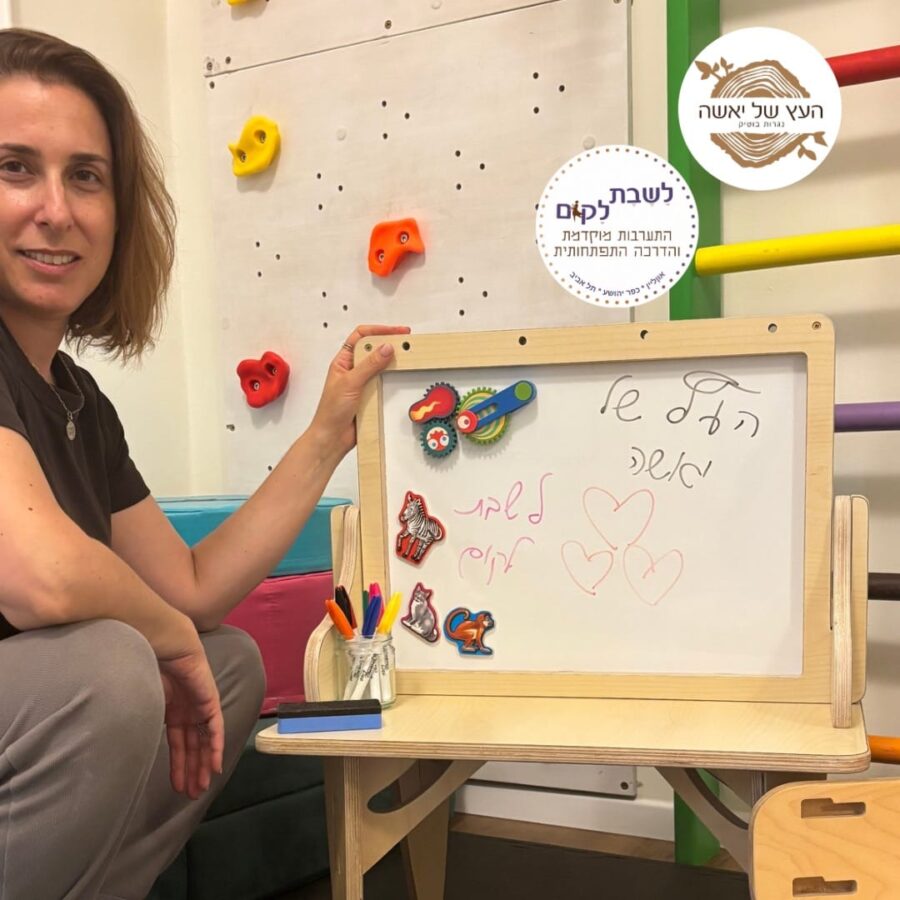מראת התפתחות ולוח מגנטי2