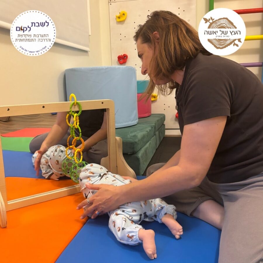 מראת התפתחות ולוח מגנטי3