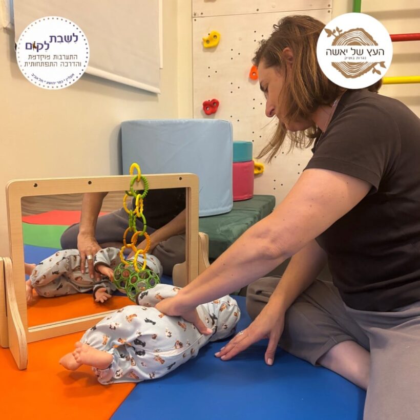 מראת התפתחות ולוח מגנטי6