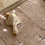 שטיח עמנואל1