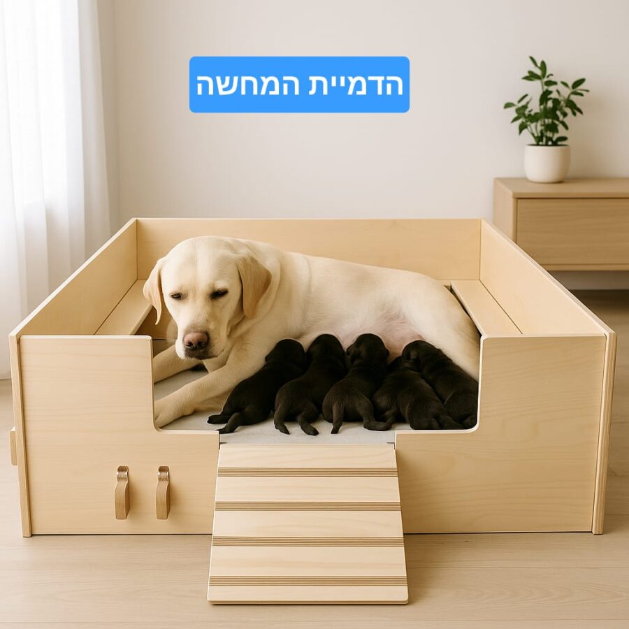 תיבת המלטה