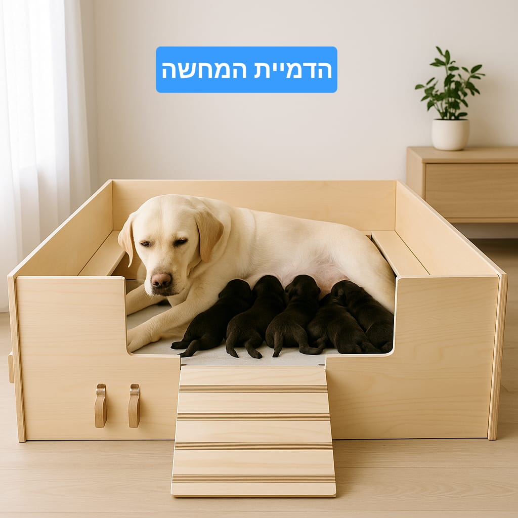 תיבת המלטה