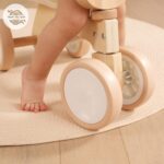 תלת אופן ויגה2