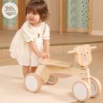 תלת אופן ויגה3