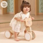 תלת אופן ויגה4