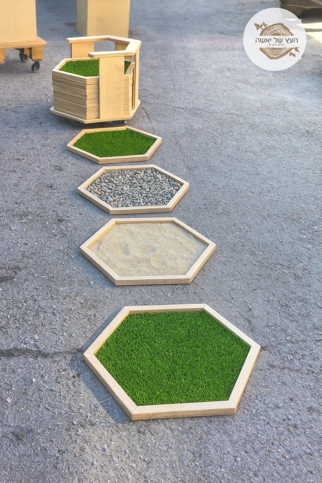 מסלול ויסות חושי