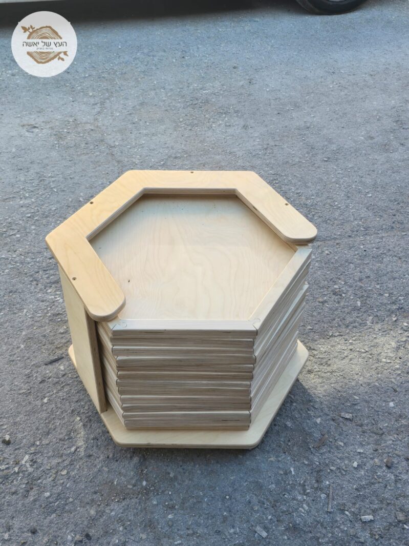 מסלול ויסות חושי1