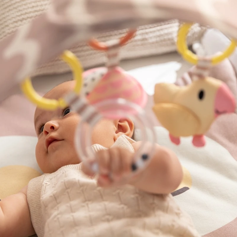 Hape ינשוף 2 Hape ינשוף 2