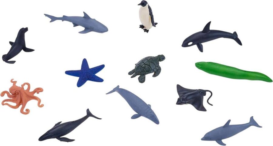 סט חיות הים