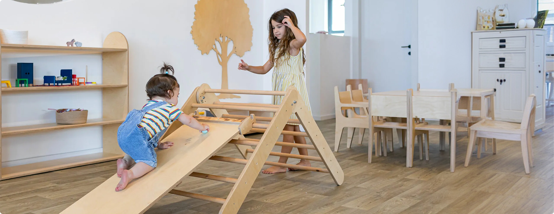 ברוכים הבאים לעץ של יאשה