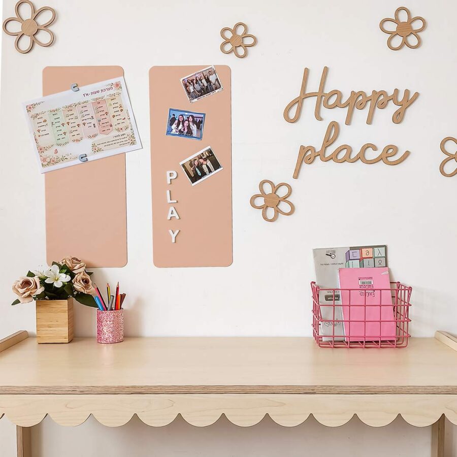 רצועות מגנטיות אפרסק 3