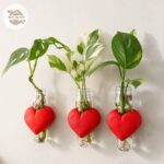 מתקן ייחורים מגנטי בעיצוב לב מתקן ייחורים מגנטי בעיצוב לב